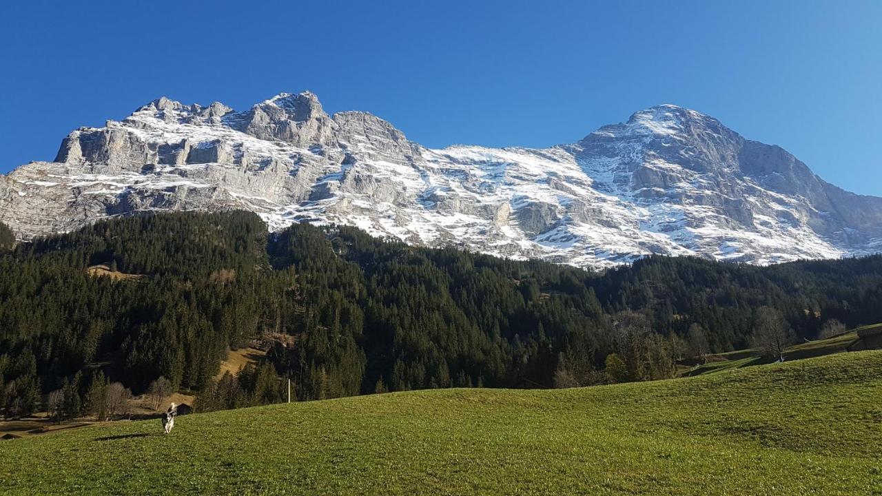 Chalet Bei Der Arve Grindelwald Buitenkant foto